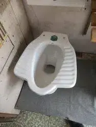 anglo_indian_toilet_seat6[1]-4273592-51540.webp